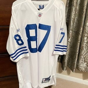 Indianapolis Colts Reggie Wayne